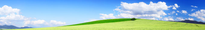 Image:  Panoramic view of arable fields